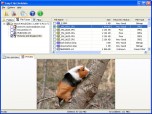 Easy NTFS File Undelete Screenshot