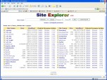 Site Explorer Screenshot