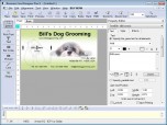 Business Card Designer Plus Screenshot