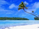 Tropical Beach Living Desktop Screenshot