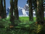 3D Forest Screensaver Screenshot