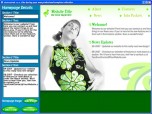 Flash Web Kit - Flash Website Builder - Profession Screenshot