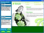 Flash Web Kit - Flash Website Builder - Profession