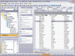 EMS SQL Manager for Oracle Screenshot