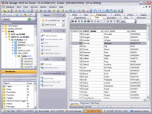 EMS SQL Manager for Oracle