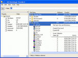 AttributeMagic Standard Screenshot