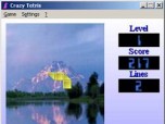 Crazy Tetris Screenshot