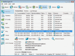 NetStat Agent Screenshot