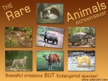 Rare Animals Screensaver