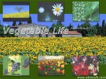 Vegetable Life Screensaver