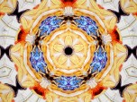 PhotoEchoes