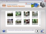 Picture Recovery Software Screenshot