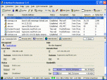 X-NetStat Screenshot