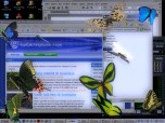 Butterfly Desktop 3D Screensaver