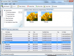 Duplicate File Finder Screenshot