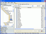 NameWiz Screenshot