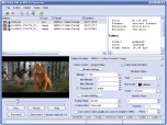 YASA AVI to MPEG Converter Screenshot