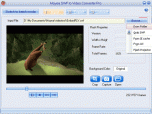 Moyea SWF to Video Converter Pro Screenshot