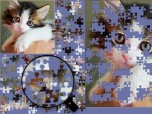 BrainsBreaker Jigsaw Puzzles