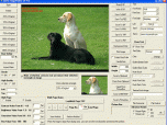 VISCOM Image Viewer CP Pro ActiveX SDK Screenshot