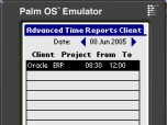 Advanced Time Reports Palm Screenshot