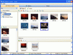 DVD Album Creator Screenshot