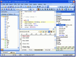 Rapid CSS Editor 2011 Screenshot