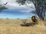 Savannah Safari - Animated 3D Wallpaper Screenshot