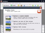 FlashDemo Screen Recorder