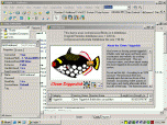 Absolute Database Screenshot