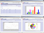 e-SoftEasy Business Analytics Screenshot