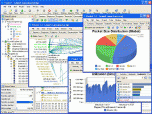 Network Traffic Monitor Analysis Report