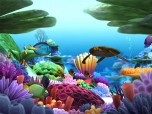 Marine Life 3D Screensaver