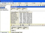 OLAP Reporting Tool Screenshot