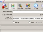 AVOne Video Converter Screenshot