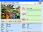 GOGO Exif Image Viewer ActiveX OCX Screenshot