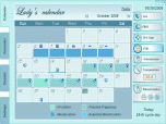 Lady's Calendar Screenshot