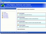 Registry Cleaner Software Screenshot
