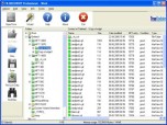 FILERECOVERY 2010 Professional (PC) Screenshot