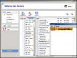 Netspring Data Recovery Screenshot