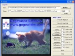 GOGO Picture Viewer Pro ActiveX SDK Screenshot