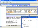 IBYKUS Omega SQL Expert Screenshot