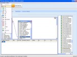 Physis DataBase Database Export Utility Screenshot