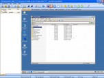 WinRemotePC Screenshot