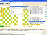 DoubleChessBoard Screenshot