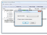 Partition Find and Mount