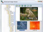 SWD Image Viewer