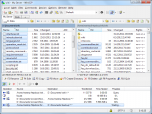 WinSCP