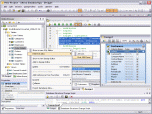 Altova DatabaseSpy Enterprise Edition Screenshot