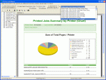 CZ Print Job Report Screenshot